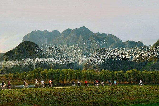 Day Trip in Ninh Binh Tour From Hanoi - Pricing Details