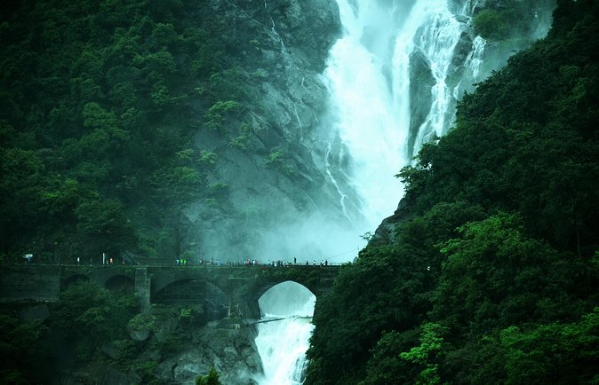 Day Trip to Mollem National Park Including Dudhsagar Falls and Jeep Safari From Goa - Visit to the Spice Plantation