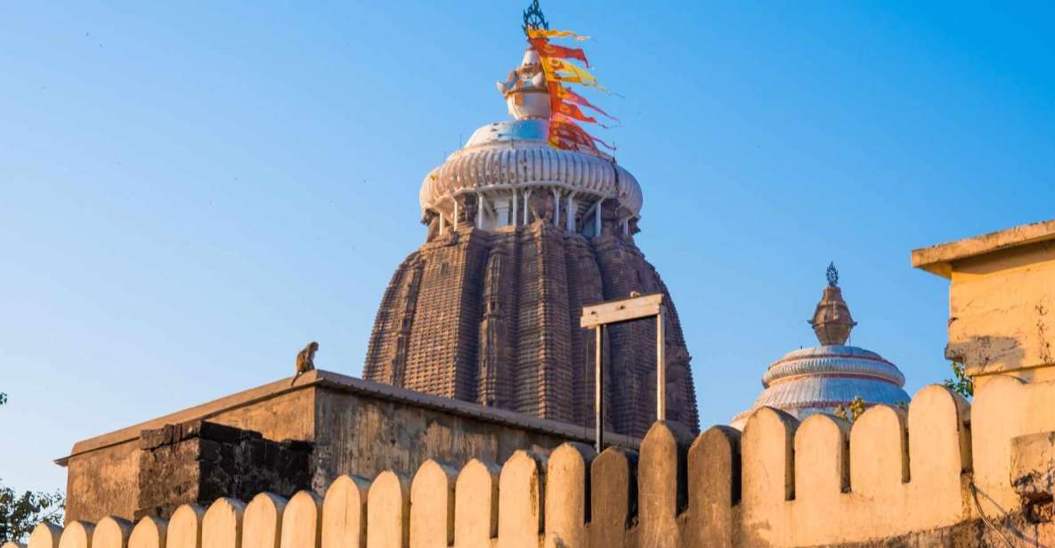 Day Trip to Puri (Guided Private Tour From Bhubaneswar) - Tips for Visitors