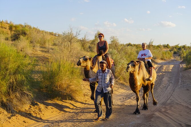 Desert Yurt Camp Tour - 2 Days (Shared) - Customer Feedback Summary