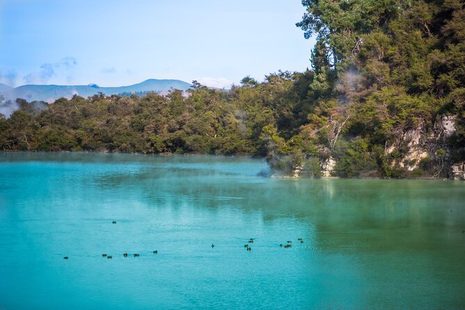 Devils Bath Experience - Private Tour to Wai-O-Tapu & Lake Taupo - What to Expect on Tour