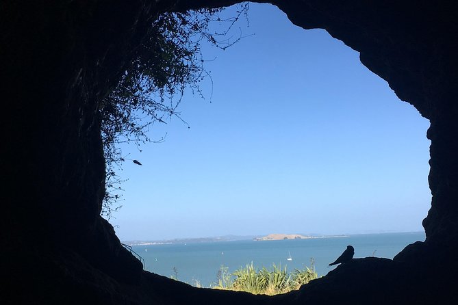 Devonport Volcanoes Afternoon Tour From Auckland - Customer Experiences and Reviews