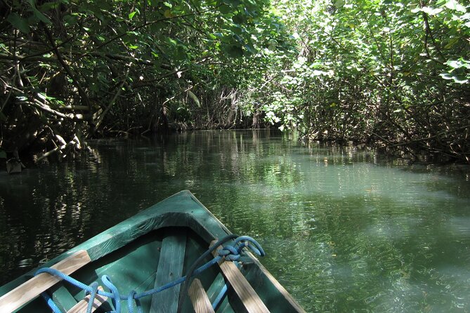 DG Tours - Full-Day Private Tour Experience - Preparation and Tips