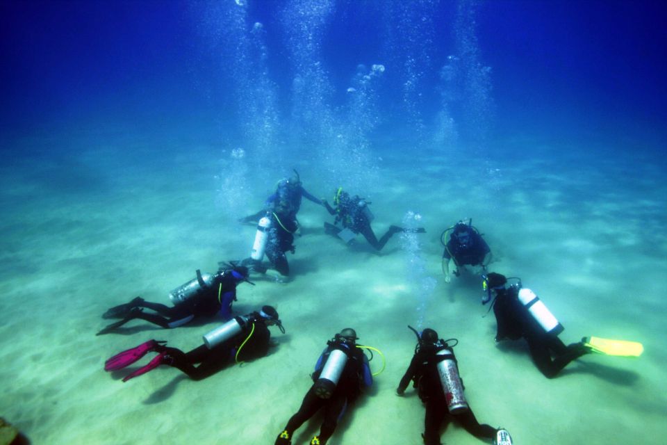 Didim: Scuba Diving Experience W/Hotel Pickup & Lunch - Tips for a Great Experience