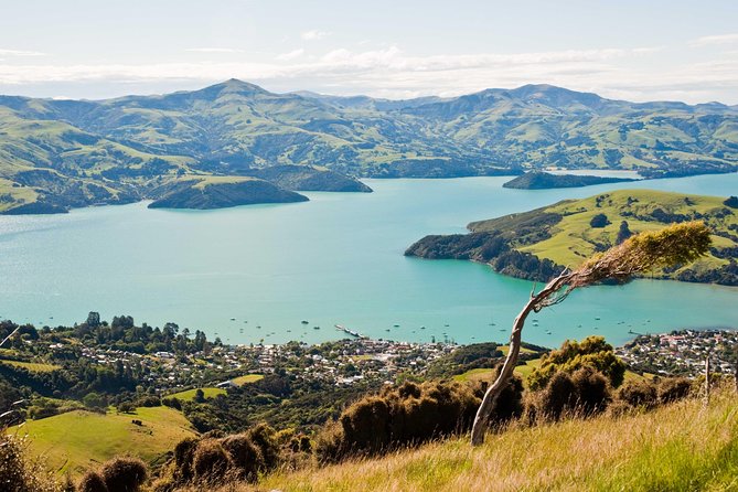 Discover Akaroa: Self Guided Audio Tour - Tips for Enjoying Your Tour