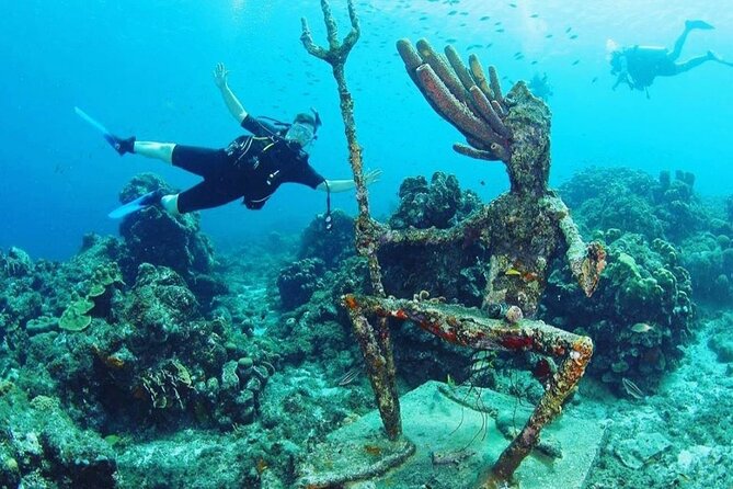 Discover Diving in Curaçao With Transportation Included - Safety and Equipment Provided