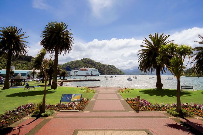 Discover Picton: Self-Guided Audio Tour - Booking Your Experience