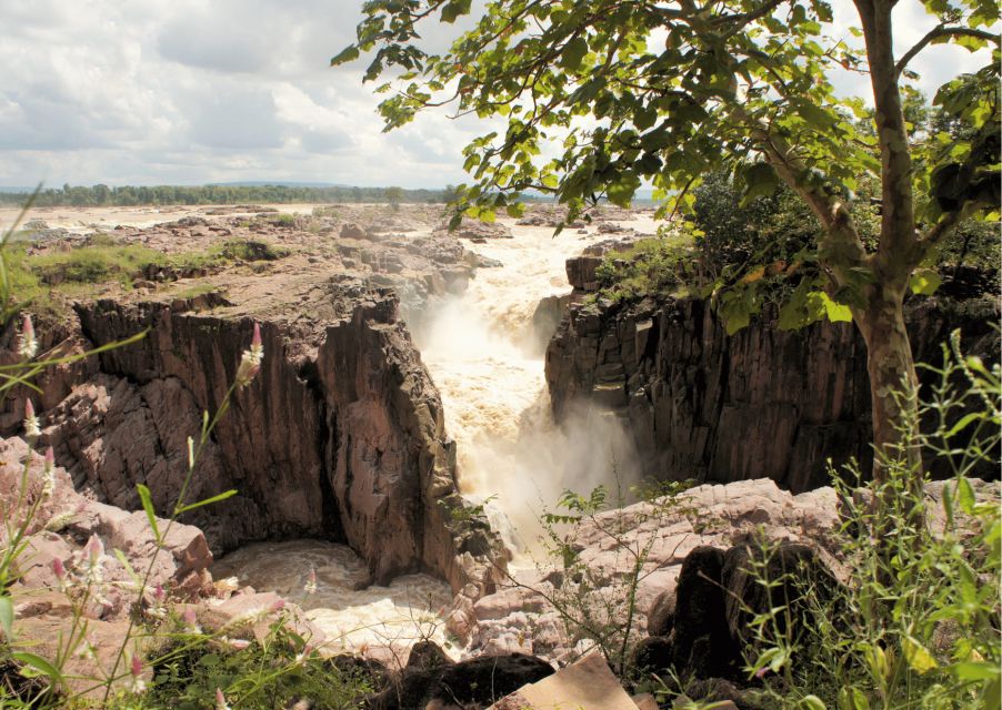 Discover Raneh Fall From Khajuraho Guided Half Day Car Tour - Inclusions of the Tour