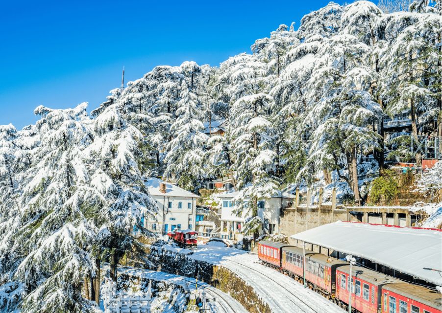 Discover the Colonial Trails of Shimla- Guided Walking Tour - Participant Information