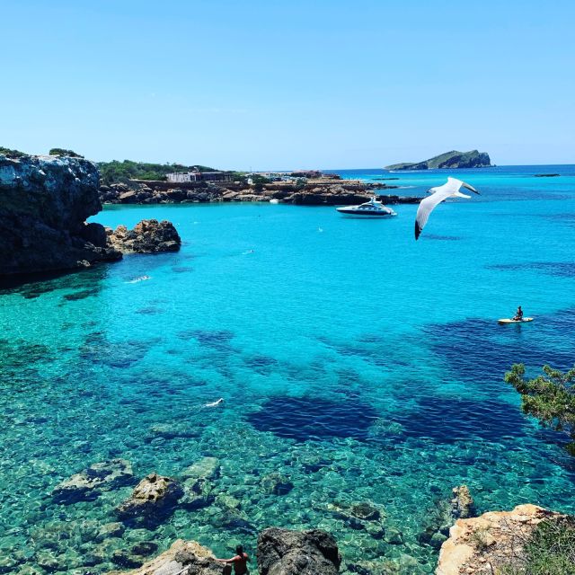 Discover the Ibiza Beaches on a Boat Without License 8H - Participant Restrictions