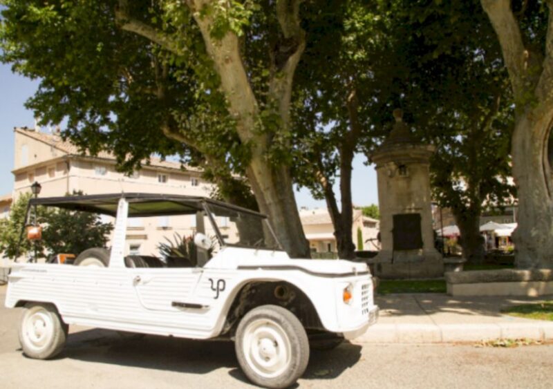 Discovering Provence in a Méhari - Additional Rental Services