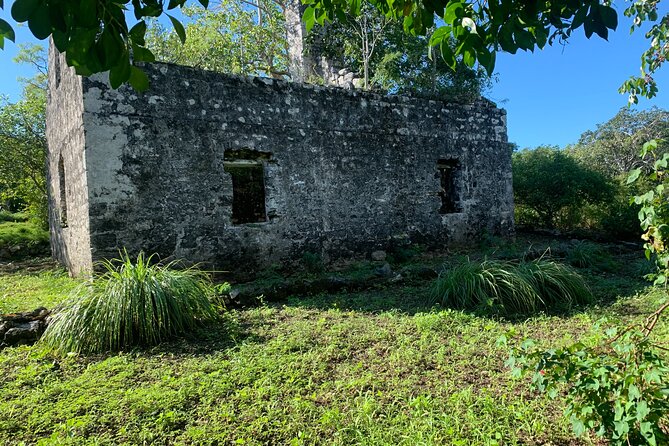 Discovery Tour and Treasure Hunt ( North and Middle Caicos) - Pricing and Booking