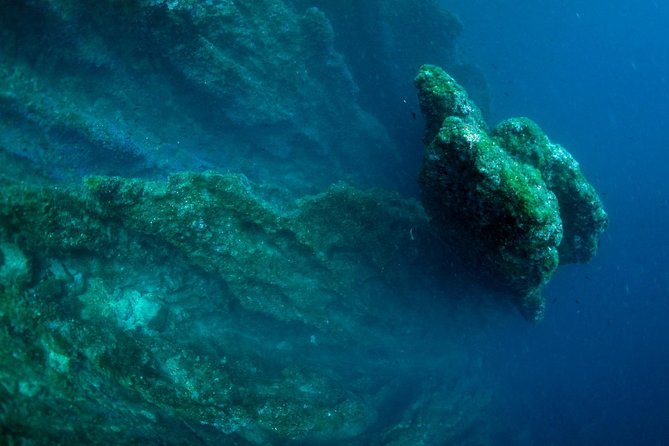 Diving Day Tour With 2 Dives - Booking and Cancellation Policies