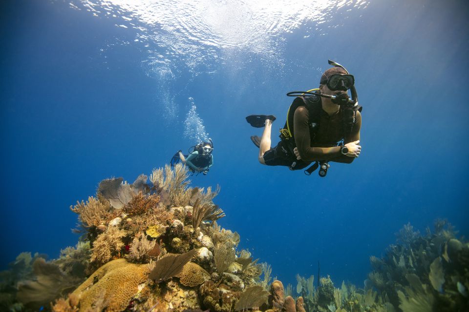 Diving Santa Marta & Tayrona for Certified Divers (2 Tanks) - Important Pre-Dive Information