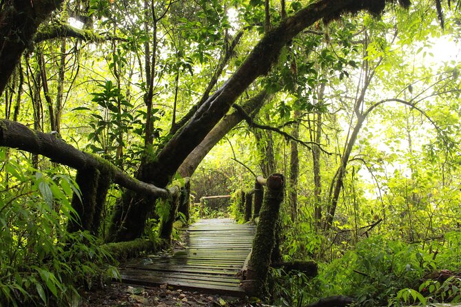 Doi Inthanon National Park and 2 Hours Hiking With Private Tour - Booking and Pricing Information