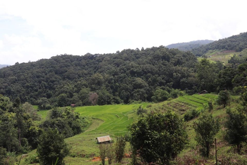 Doi Inthanon, Trekking Nature Trail, Elephant Tour - Elephant Sanctuary Experience