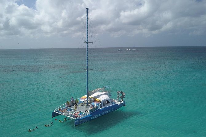 Dolphin Catamaran Snorkel and Sail With Open Bar - Reviews and Ratings