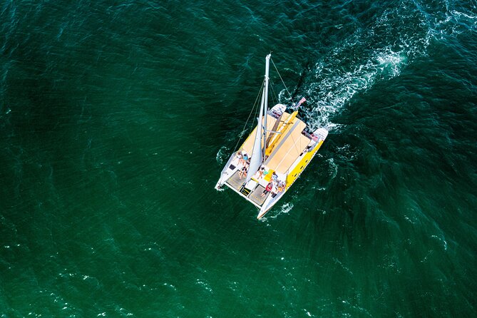 Dolphin Sightseeing Tour on the Footloose Catamaran From Panama City Beach - Guest Reviews and Feedback