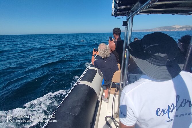 Dolphin Watching and Boat Tour in Sesimbra - Inclusions and Exclusions