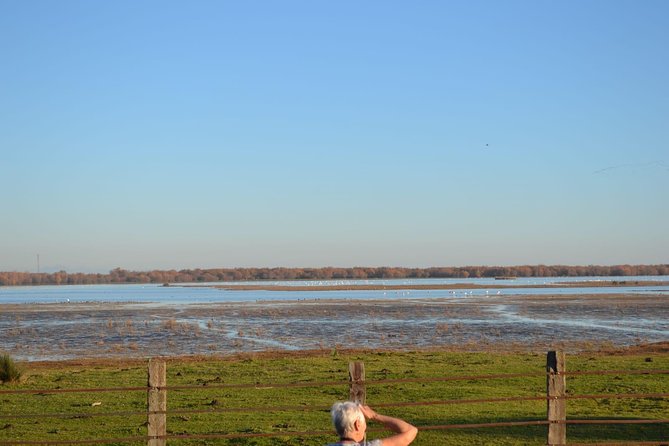 Doñana National Park and El Rocío: Guided Tour From Seville - Additional Information