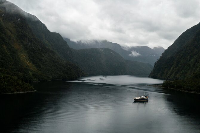 Doubtful Sound Overnight Cruise - Wildlife Encounters