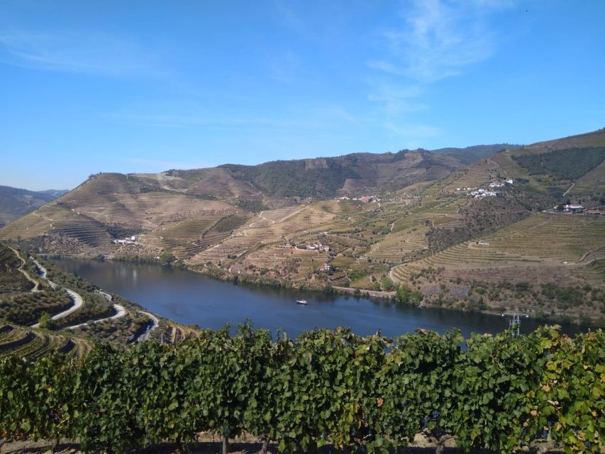 Douro Valley & Amarante - From Porto or Guimarães - Tour Duration and Availability