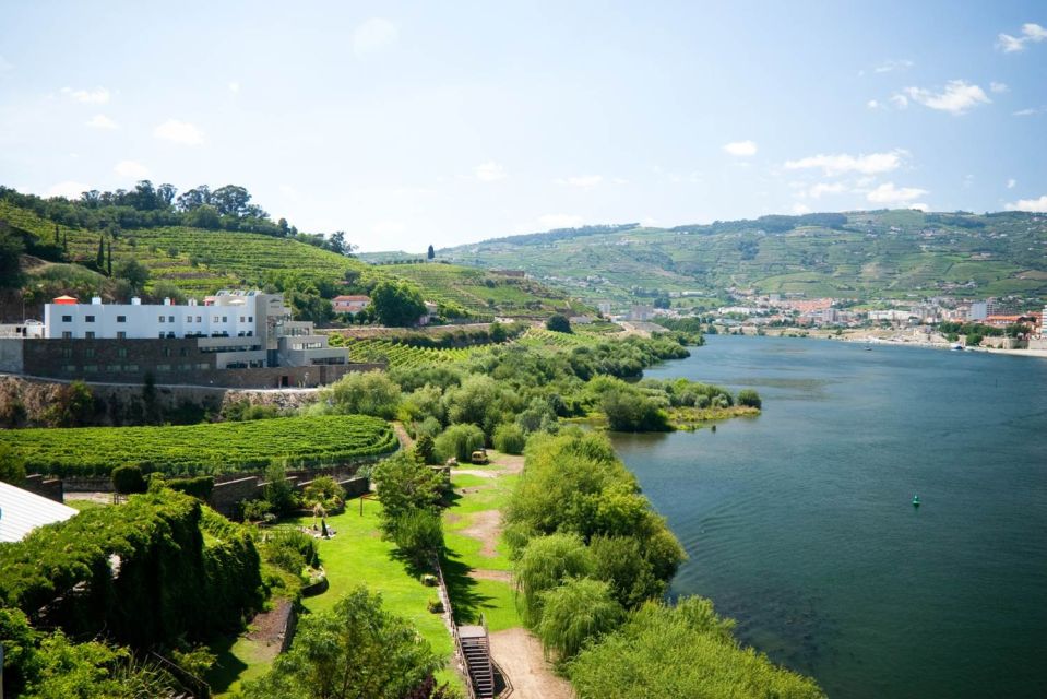 Douro Valley: Full-Day Private Wine Tour With Lunch - Dietary Accommodations