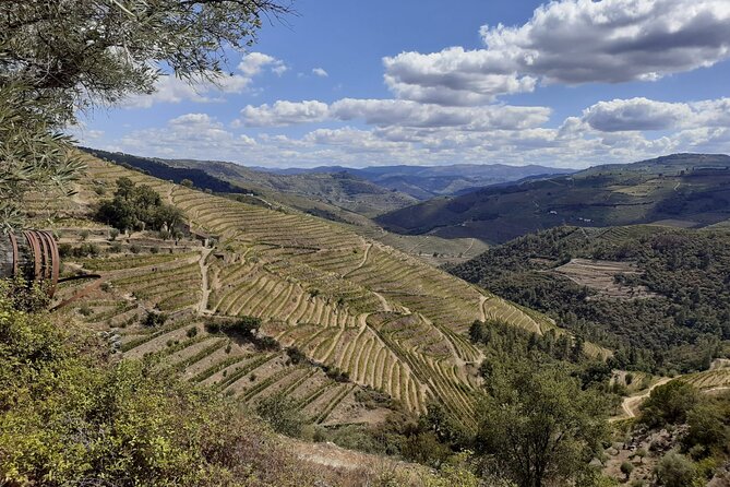 Douro Valley Small-Group Tour: 2 Wineries, Lunch, Optional Cruise - Included River Cruise