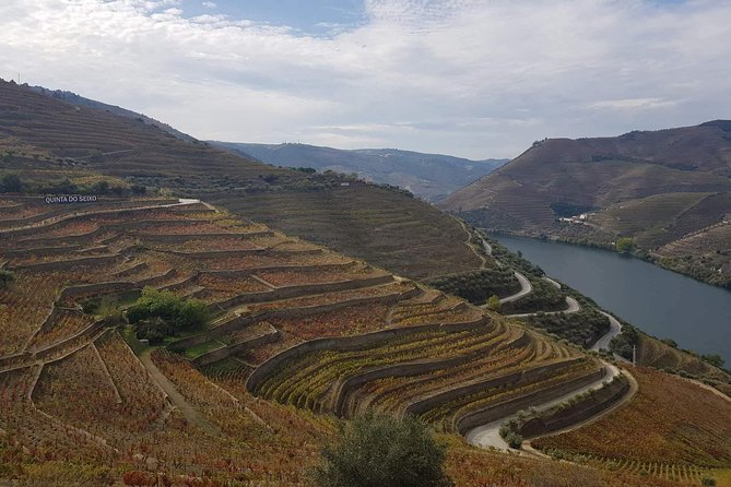 Douro Valley Tour From Peso Da Regua - Wine and Culinary Experiences