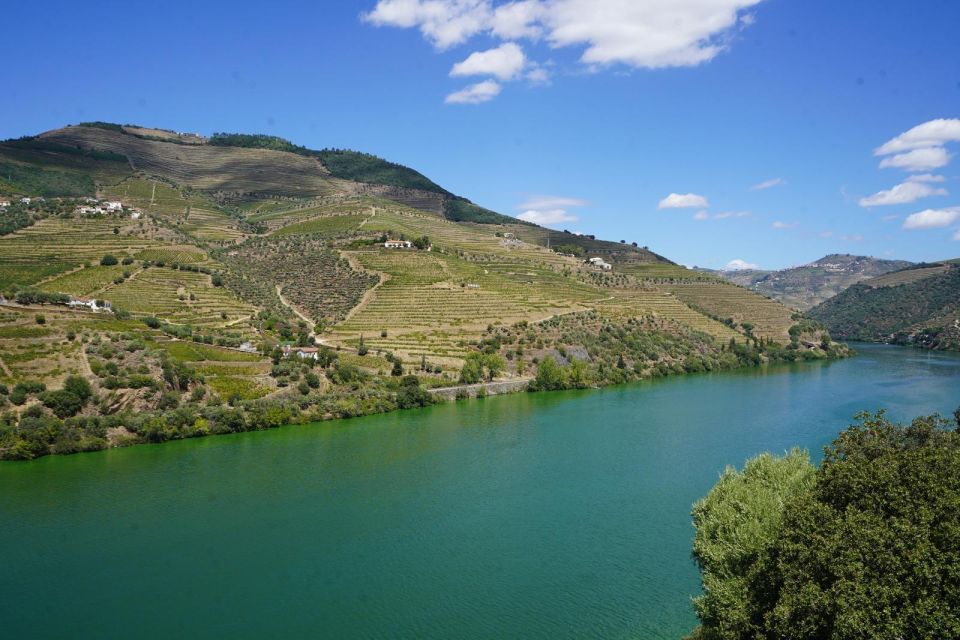 Douro: Wine Tasting and River Cruise Experience - Booking Details and Cancellation Policy