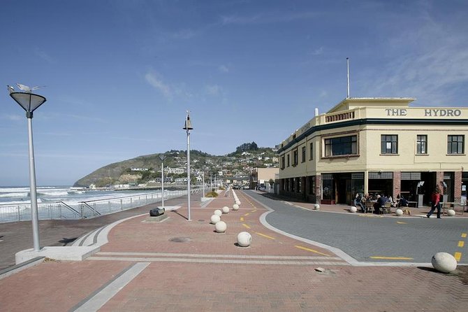 Dunedin City and Coastal Views 3-Hour Small-Group Guided Tour - Booking Information and Pricing