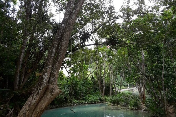 Dunns Falls and Blue Hole Daytrip With Lunch From Montego Bay & Trelawny - Lunch Details