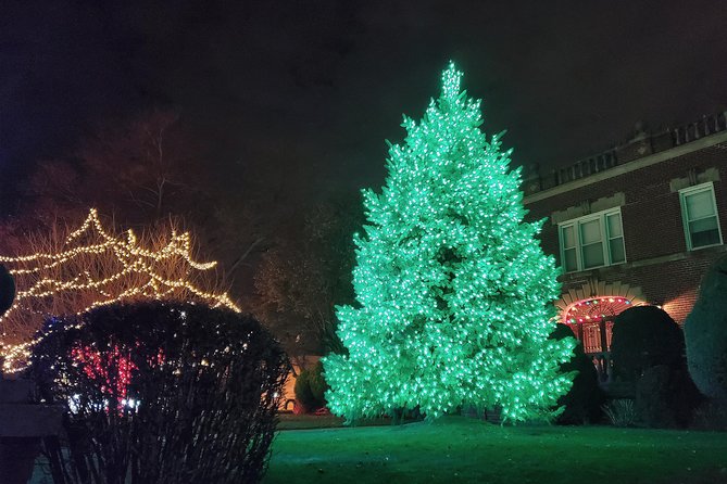 Dyker Heights Christmas Lights Guided Tour - Tips for a Great Experience