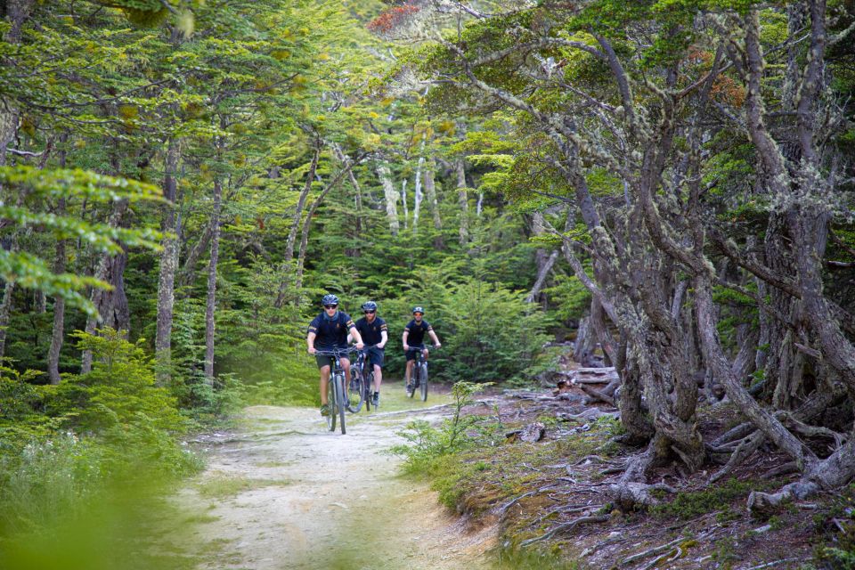 E-Bike Beagle Viewpoint - Participant Requirements and Restrictions