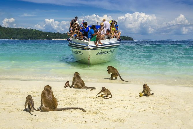 Early Bird Trip to Phi Phi Island Snorkeling Day Tour With Lunch - Bamboo Island