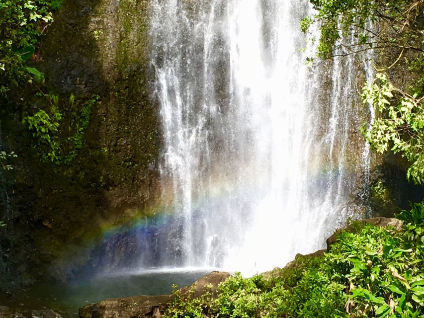 East Maui: Private Rainforest or Road to Hana Loop Tour - Additional Highlights and Important Information