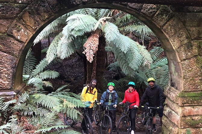 Easy Bike Tour - Mt Wellington Summit Descent & Rainforest Ride - Participant Experiences