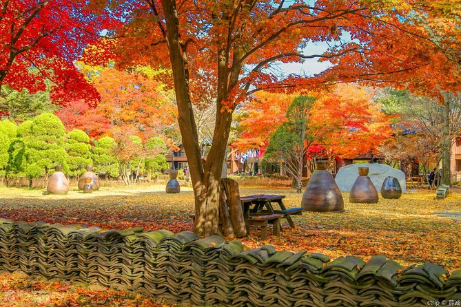 Easy Private Tour to Nami Island, Garden of Morning Calm - Meeting and Pickup Details