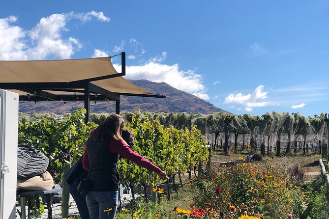 Ebike Tour Lake Dunstan Wine Tasting - Wine and Cheese Experience