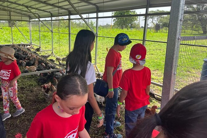 Eco Friendly Farming Tour to Explore Dorados Most Beautiful Farm - Experience Highlights and Activities