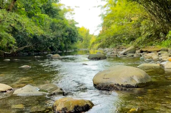 El Yunque Hike, Waterslide, Beach & Cuisine With Transport - Safety Measures and Guidelines