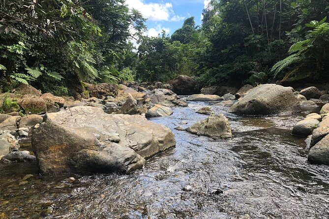 El Yunque National Forest and Luquillo Beach Combo - What to Bring