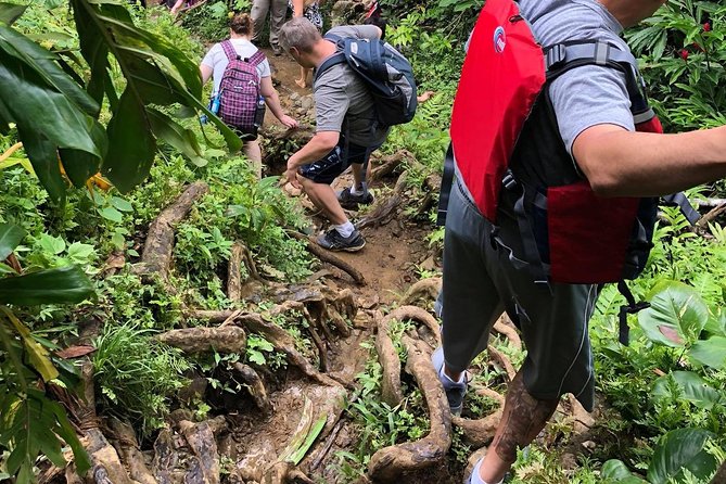 El Yunque Rainforest Tour With Transport From San Juan Area - Hiking and Water Shoes