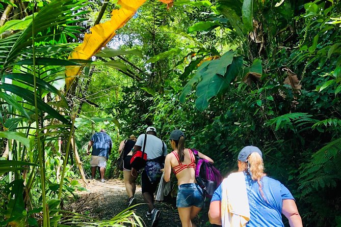 El Yunque: Waterslide, Waterfall, Shopping, and Beach Tour - Customer Feedback