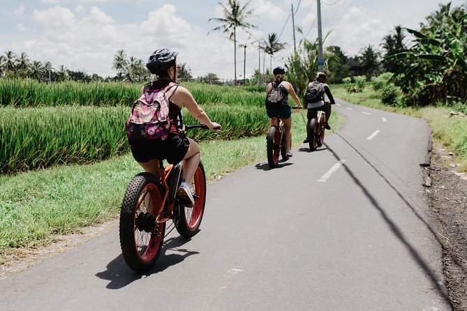 Electric Bike Tour in Ubud - Cancellation and Refund Policy