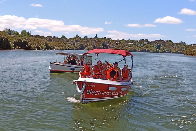 Electric Boats to Explore Kerikeri River - Wildlife Encounters on the River