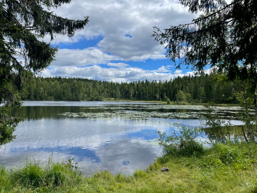 Electric Mountain Bike Tour in the Forest of Oslo - What to Expect