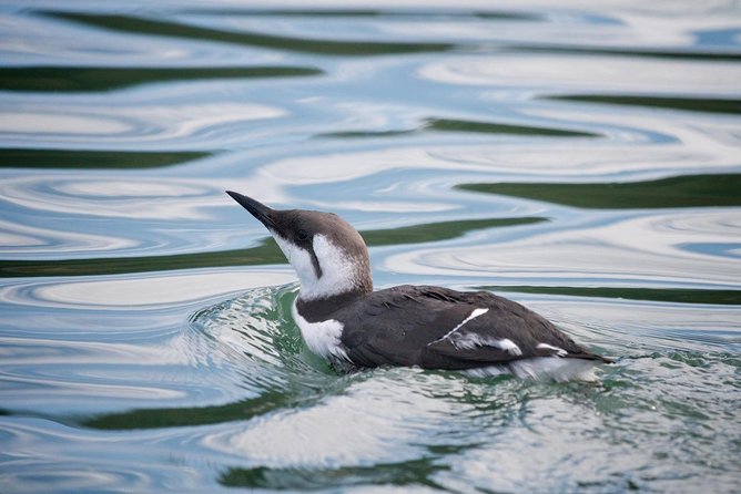 Elkhorn Slough Wildlife Tour - Eco-Friendly Practices