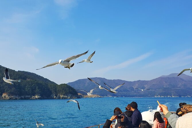 Enchanting Oedo Island Day Tour From Busan - Accessibility