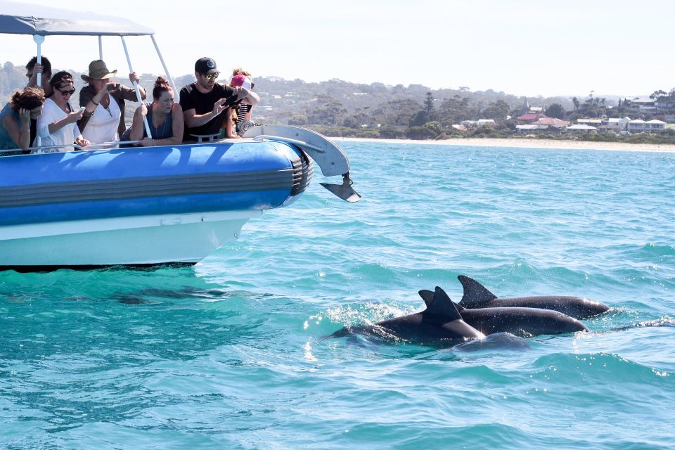 Encounter Bay: Southern Ocean Adventure Cruise - Directions